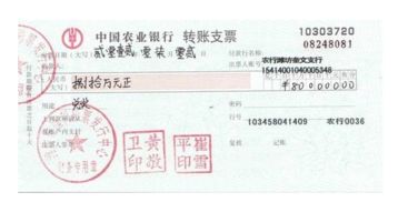 開出轉賬支票屬于什么會計科目,開出轉賬支票計入什么會計科目,開出轉賬支票記什么會計科目