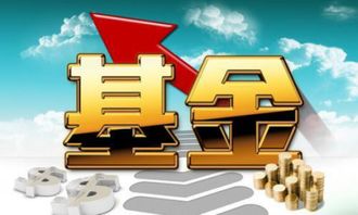 購(gòu)買基金進(jìn)入什么會(huì)計(jì)科目