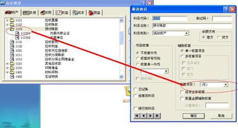 會(huì)計(jì)科目輔助項(xiàng)目都有哪些,設(shè)置會(huì)計(jì)科目的項(xiàng)目,設(shè)置項(xiàng)目輔助核算的會(huì)計(jì)科目