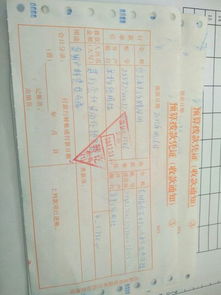 退耕還林,會計科目