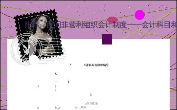 非營利組織會計制度的會計科目使用說明