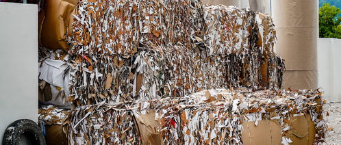 企業(yè)廢料收入計(jì)入會(huì)計(jì)科目