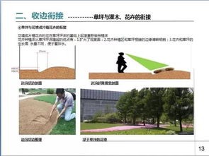 園林綠化葉會計科目,園林綠化計入什么會計科目,園林綠化工程施工企業(yè)會計科目