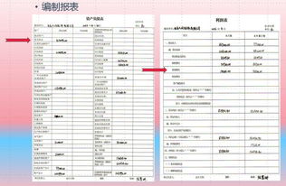 籌資業(yè)務(wù)會(huì)計(jì)科目及明細(xì)科目表,籌資業(yè)務(wù)會(huì)計(jì)科目的設(shè)置,籌資業(yè)務(wù)會(huì)計(jì)科目的設(shè)計(jì)