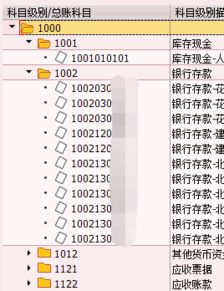 sap會計科目功能范圍