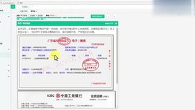 電算化,會計科目,設(shè)置,會計