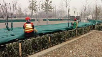 幾個(gè),工地,會(huì)計(jì)科目