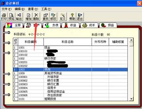 會(huì)計(jì)科目級(jí)次可以修改的情況