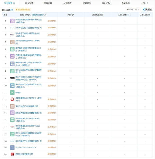 新公司會計科目怎么設(shè)置,注冊新公司的支出會計科目,新公司收到股東錢計入什么會計科目