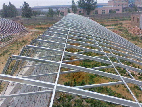 農(nóng)業(yè)打大棚付工資會計科目