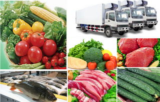 生鮮蔬菜配送中心,蔬菜配送中心方案,蔬菜入庫(kù)的會(huì)計(jì)科目