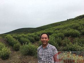 員工出游會計(jì)科目