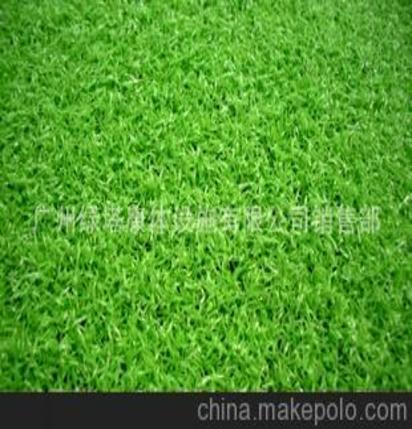 建造固定資產(chǎn)會計科目,草坪計入什么會計科目,建造廠房屬于什么會計科目