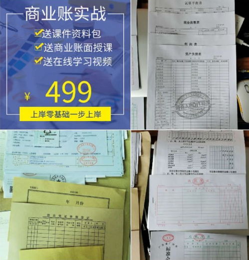 教育局,會計科目