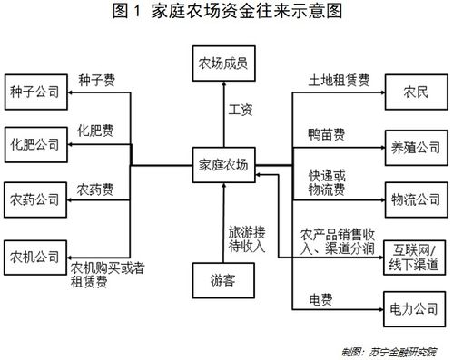 家庭農(nóng)場的會計(jì)科目有哪些