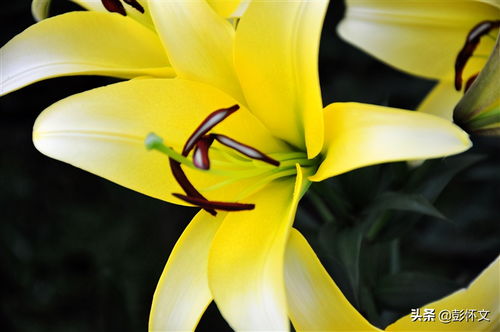 勞務(wù)公司的賬務(wù)會計科目