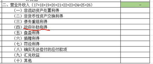 政府補(bǔ)貼會(huì)計(jì)科目營(yíng)業(yè)外收入還是其他收益