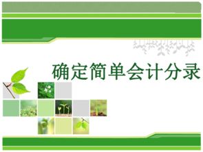 課件,說課,會(huì)計(jì)科目