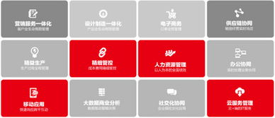 u8會(huì)計(jì)科目模糊查詢