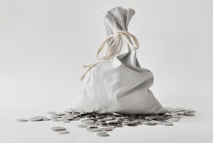 一個項目下包含了多個會計科目