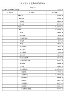 農(nóng)村村級會計(jì)科目明細(xì)表