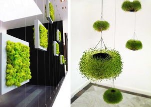 大堂綠植會計科目