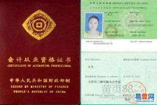 賬戶,合并,會(huì)計(jì)科目