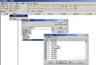村鎮(zhèn)會(huì)計(jì)科目的設(shè)置