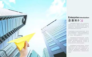 保密,會(huì)計(jì)科目,設(shè)置,企業(yè)