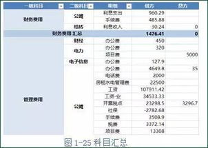 案例分析,賬戶,會計科目