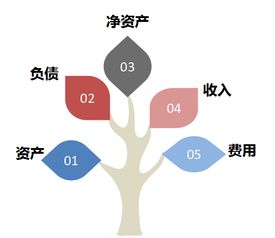 政府會計中的財務(wù)會計科目