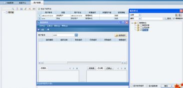 金蝶,新增,會計科目,eas