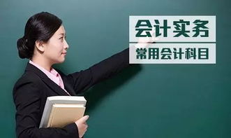 資產(chǎn)類會(huì)計(jì)科目增加計(jì)入借方