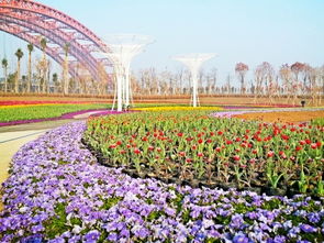 花卉園藝公司會計科目