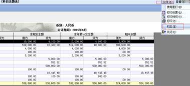 用友u8會計科目導入表格