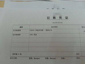 金碟財(cái)務(wù)軟件會計(jì)科目代碼