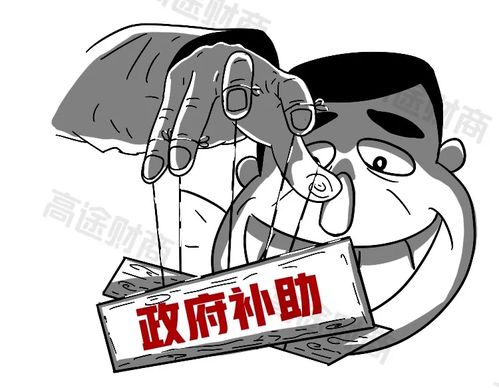 補貼,會計科目,政府