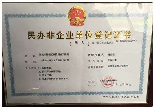 民辦非企業(yè)單位會計(jì)科目及會計(jì)報(bào)表,民辦非企業(yè)單位做賬的會計(jì)科目,民辦非企業(yè)單位會計(jì)科目及賬務(wù)處理