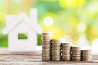 入股,分紅,會(huì)計(jì)科目,投資