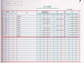 會計科目總分類賬和明細分類賬,總分類賬會計科目寫錯了,總分類賬包括哪些會計科目