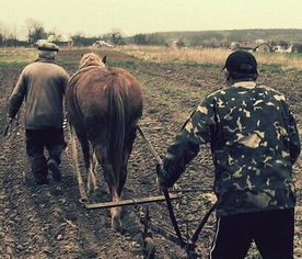 農(nóng)民種植合作社會計科目