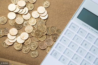 收入和費用屬于什么會計科目,服務收入屬于什么會計科目,租金收入屬于什么會計科目