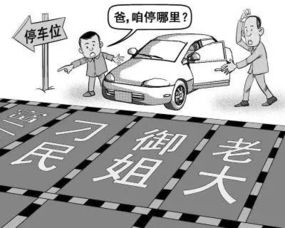 畫車位線入什么會計科目