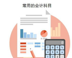 個(gè)人營(yíng)利醫(yī)院會(huì)計(jì)科目