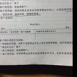 借方,負數(shù),營業(yè),成本