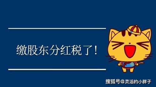 慈善行業(yè)會(huì)計(jì)科目