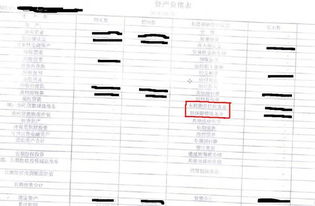 應(yīng)收代償款會計科目,擔(dān)保公司應(yīng)收代償款,市擔(dān)保公司財務(wù)數(shù)據(jù)及會計科目不夠具體