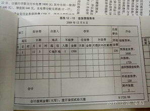 養(yǎng)老保險,補充,會計科目