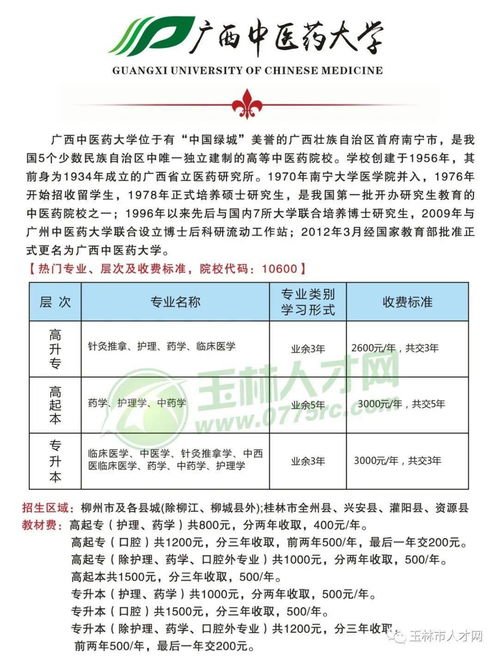 茶杯,用于,執(zhí)行,會(huì)計(jì)科目