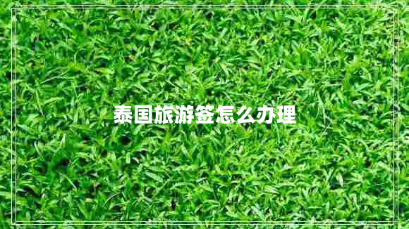 泰國旅游簽怎么辦理